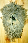 mask03_s.jpg (16853 bytes)