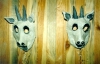 mask05_s.jpg (7470 bytes)