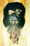 mask14_s.jpg (15646 bytes)