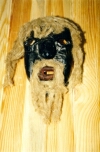mask16_s.jpg (15872 bytes)
