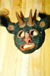 mask18_s.jpg (15899 bytes)