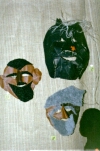 mask27_s.jpg (15998 bytes)