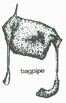 bagpipe